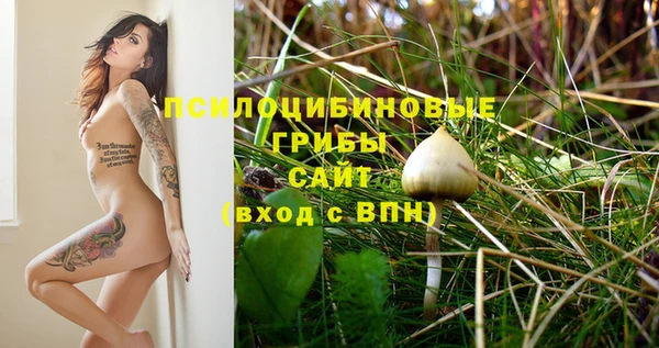 ПСИЛОЦИБИНОВЫЕ ГРИБЫ Сафоново