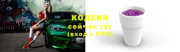 прущие грибы Саяногорск