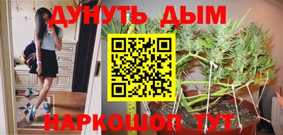 гашик Ярославль