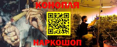 гашик Ярославль