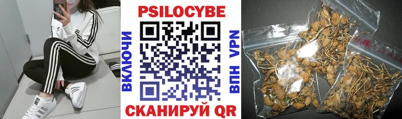 Галлюциногенные грибы Magic Shrooms  Бор 